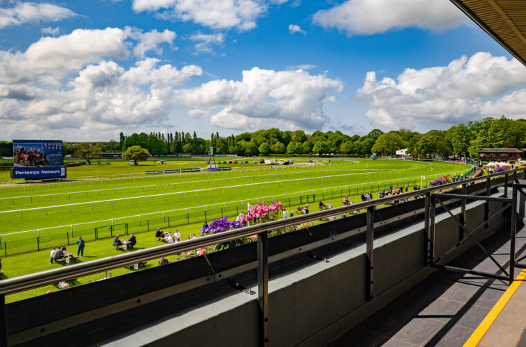 Haydock_Park Suite_070522-63